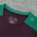 24/25  Mexico maroon Training Short Suit
