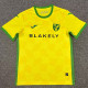 24/25 Norwich Home Fans Soccer Jersey