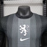 2025 Netherlands  Grey Goalkeeper Player Version Soccer Jersey