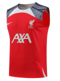24/25 LIV Red Gray Shoulder  Tank top Training Shirts（灰肩）