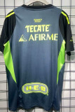 25/26 Tigres Goalkeeper Grey Fans Soccer Jersey
