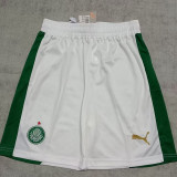 24 /25  Palmeiras Home Shorts pants
