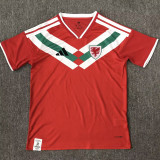 26/27 Wales Special Edition Red Fans Soccer Jersey