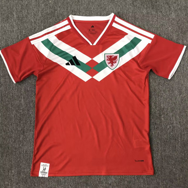 26/27 Wales Special Edition Red Fans Soccer Jersey