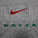 24/25 Nigeria Home Player Version Soccer Jersey