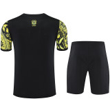 25/26 Brazil Jesus Statue Golden Training Short Suit