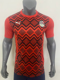 24/25 Egypt Red Special Edition  Fans Soccer Jersey