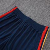 26/27 Spain Royal Blue Player Version Shorts Pants#D2603