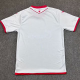 25/26 Red Star Belgrade Away Fans Soccer Jersey贝尔格莱德红星