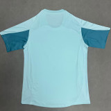25/26 Cruzeiro Light Green  Fans Training shirts