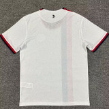 25/26 San Lorenzo de Almagro Away Fans Soccer Jersey