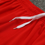 24/25 Bayern Red Training Short Suit