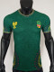 25/26 Mali Green Player Version Soccer Jersey