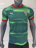 25/26  Portugal Green  Training shirts