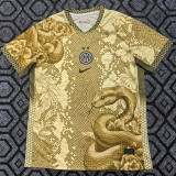 25/26  INT Special Edition Yellow  Fans Fans Soccer Jersey