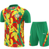 26/27 Seneg Green Training Shorts Suit