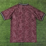 24/25 Denmark Special Edition  Fans Soccer Jersey
