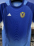 25/26 Venezuela Goalkeeper Blue Fans Soccer Jersey