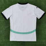 2024 Austria  Away  Fans Soccer Jersey