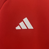 2024 Wales Home Fans Soccer Jersey
