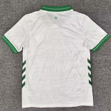 25/26 Saint Etienne Away Fans Soccer Jersey