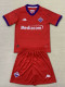 24/25  Fiorentina Third Kids  Soccer Jersey