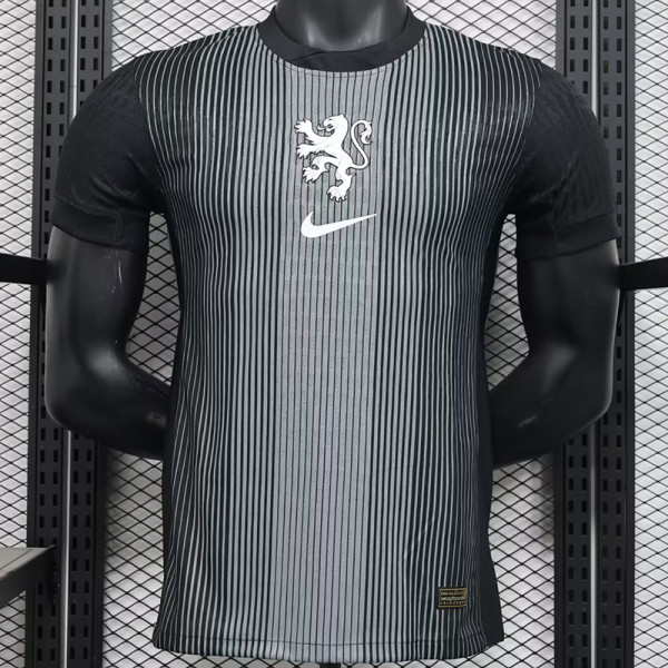 2025 Netherlands  Grey Goalkeeper Player Version Soccer Jersey