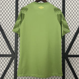 24/25 Fluminense  Green Ripple Training shirts
