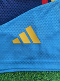 26/27 Spain Blue Player Version Training Shirts球员版