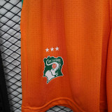 26/27 Cote d'Ivoire Yellow Player Version Shorts Pants