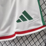 26/27 Mexico Home Player Version Shorts Pants