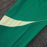 25/26 Algeria  Green Training Long Pants (Have Pocket) #C2509