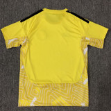 26/27 Wales Goalkeeper Yellow Fans Soccer Jersey