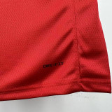 25/26 Raptors INGRAM # 3 Red Away Top Quality Hot Pressing NBA Jersey