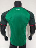 2026 Algeria Leisure Edition Player Version Soccer Jersey