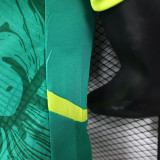24/25 Senegal Away Player Version Soccer Jersey