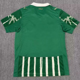 25/26 Palmeiras Green Special Edition Fans Soccer Jersey