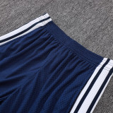 25/26 AD Royal Blue Player Version Training Short Suit#D2506