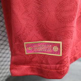 24/25 Bayern 125th Anniversary Edition  Player Version Soccer Jersey