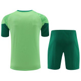 24/25  Palmeiras White Green Training Short Suit （绿白）