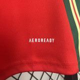 2024 Wales Home Fans Soccer Jersey
