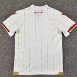 25/26 Standard Liege Away Fans Soccer Jersey
