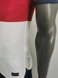 22/23 Portugal Away World Cup Player Version Soccer Jersey