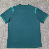 25/26 Nigeria Away Fans Soccer Jersey