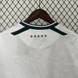 24/25 Santiago Away Green Fans Soccer Jersey