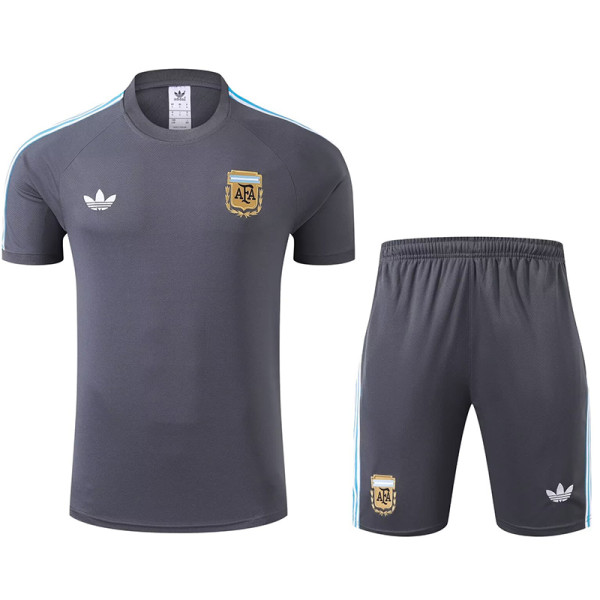 23/24  Argentina Grey Training Short Suit