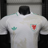 26/27 Wales Away Player Version Soccer Jersey