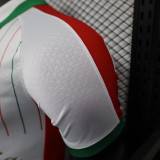25/26 Palestine 1921 Commemorative Edition  Player Version Soccer Jersey