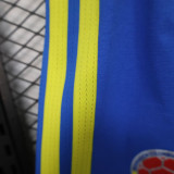 26/27 Colombia Home Player Version Shorts Pants