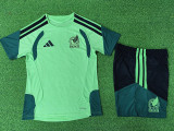 26/27 Mexico Green Player Version Training Short Suit(球员版)